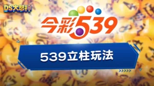 539立柱玩法-小資族最愛用的地下539連碰玩法進階版